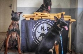 Polícia Civil apreende 25 kg de maconha com passageiro de ônibus 