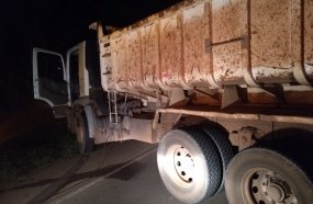 Caminhão atropela e mata bovino em Lacerdópolis 