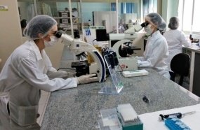 Corpo de pescador encontrado em SC é identificado pelos Bancos de Perfis Genéticos