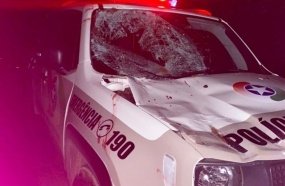 Cavalo na pista provoca acidente com viatura da Polícia Militar 