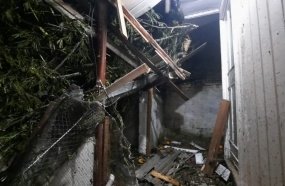 Árvore cai sobre residência durante temporal em Capinzal
