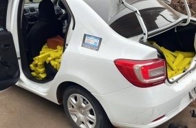 Ação conjunta apreende 210 kg de maconha em Caçador