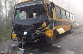 Motorista morre e 20 crianças ficam feridas em acidente com ônibus escolar