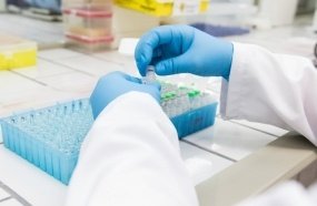 STJ confirma exigência de exame toxicológico para renovação de CNH