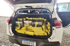 Ação conjunta derruba quase 600 kg de maconha no Oeste