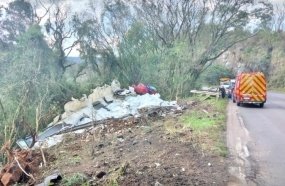 Caminhão com carga de peixes fica destruído em acidente na BR-153