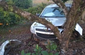 Picape colide contra árvore após sair da pista na SC-465 