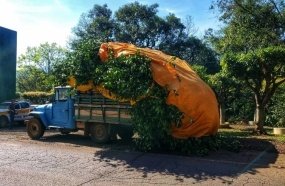 Polícia Rodoviária flagra transporte irregular de carga na SC-283