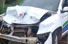 Veículo da Saúde atropela vaca solta na pista