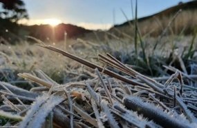 Semana termina com tempo seco e frio em Santa Catarina