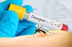 Joaçaba confirma 130 focos de Aedes Aegypti e 11 casos de dengue