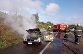 Carro é consumido por incêndio na BR-282
