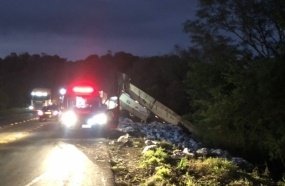 Motorista de carreta é preso por embriaguez após acidente na BR-153