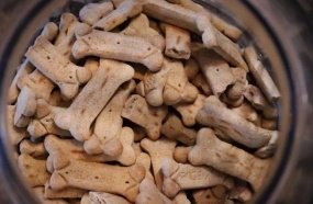 Anvisa alerta sobre uso de substância que contaminou petisco canino
