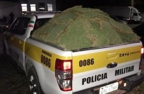 Motorista é preso ao ser flagrado furtando placas de grama em rodovia