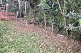 Feto humano é encontrado por crianças em matagal 