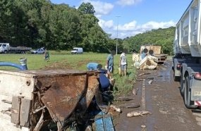 Carga de peixes é saqueada após acidente no trevão de Irani