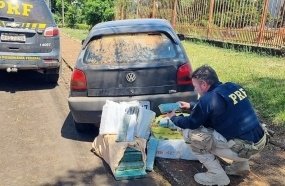 PRF intercepta quase 100 kg de maconha que iriam para Chapecó