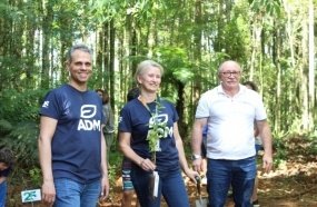 Joaçaba recebe doação de 3 mil mudas de árvores da ADM