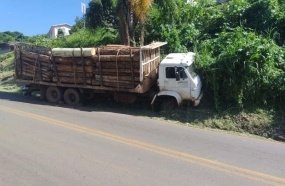 Caminhão carregado com toras colide contra o barranco 