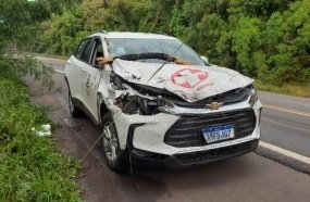 Veículo da saúde colide em árvore caída sobre a pista 