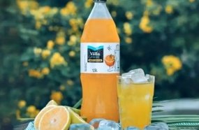 Coca-Cola emite nota sobre adequação do rótulo da bebida Del Valle Fresh