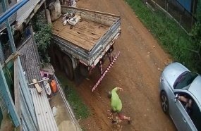 Preso homem que matou morador de Caçador após discussão no WhatsApp