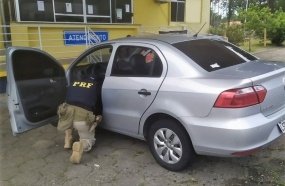 Menina retirada à força da avó é resgatada pela PRF