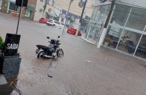 Temporal alaga ruas e derruba árvores em Joaçaba e Herval