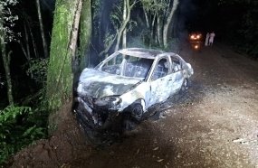 Carro é destruído por incêndio após colidir contra árvore 