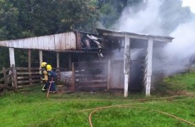 Eliminação de vespas provoca incêndio em galpão agropecuário