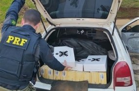 Motorista é preso transportando 66 caixas de vinhos argentinos 