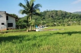 Avião com cinco pessoas cai no Norte de Santa Catarina
