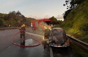 Bombeiros combatem incêndio em Fusca na BR-116 