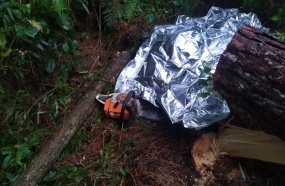 Trabalhador morre após ser atingido por árvore no interior de Ipira