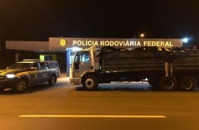 PRF apreende 4 toneladas de camarão argentino contrabandeado