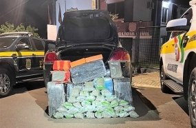 PRF e PMRv apreendem cerca de 100 kg de drogas na BR-282 