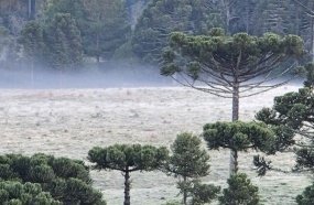 Previsão aponta inverno com temperaturas dentro da média 