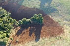 Polícia Militar Ambiental flagra desmatamento ilegal de floresta 