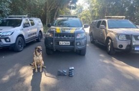 Motorista de utilitário é preso com mais de 2 kg de drogas na BR-153