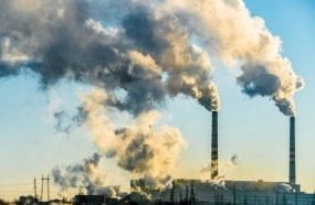 Madeireira de Catanduvas é condenada por causar dano ambiental 