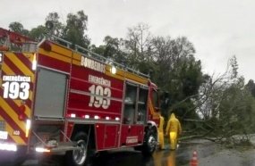 Temporal destelha casas e derruba árvores em várias cidades da região 