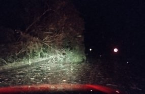 Rodovia foi obstruída com a queda de árvores entre Luzerna e Ibicaré 
