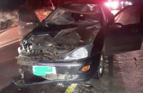 Motorista fica ferido após atropelar cavalo na SC-350 