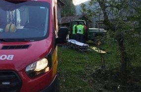 Mulher é atingida por árvore ao proteger o neto