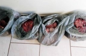 PM Rodoviária apreende arma de pressão e 200 aves abatidas 