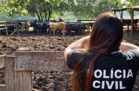 Condenado homem que furtou 10 cabeças de gado na região