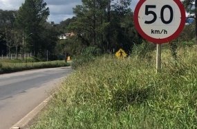Vereador cobra limpeza das margens da BR-282, em Joaçaba