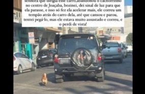 Família contesta postagem sobre cão abandonado em Joaçaba 