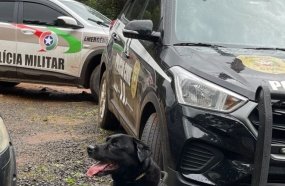 Polícia faz buscas em residências de investigados por tráfico 